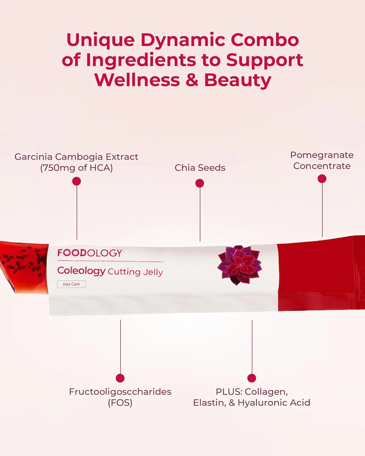 FOODOLOGYxHELLO KITTY Coleology Cutting Jelly 12PCs – Momoko Cosmetics