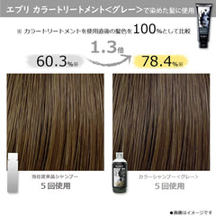 ANNA DONNA Every Hair Color Shampoo #Gray 300ml