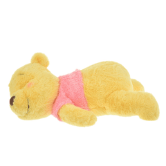 JDS Pastel Style Collection x Sleeping Winnie the Pooh Plush Toy